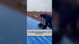 Hot Sale! Cold‑applied Self‑Adhesive Bitumen Waterproof Membrane